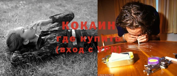 прущие крисы Новодвинск