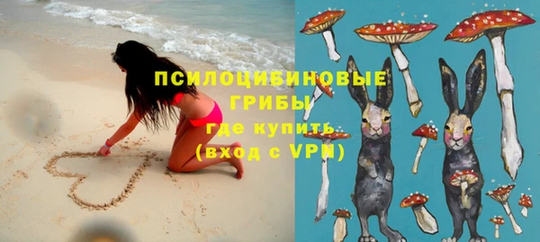дживик Нягань