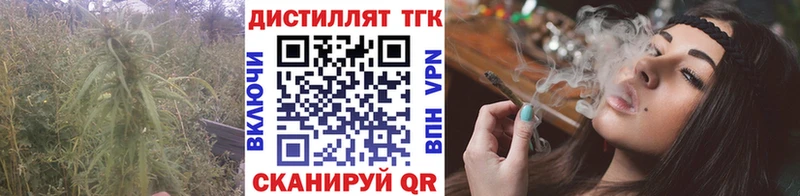 Дистиллят ТГК концентрат  Северская 